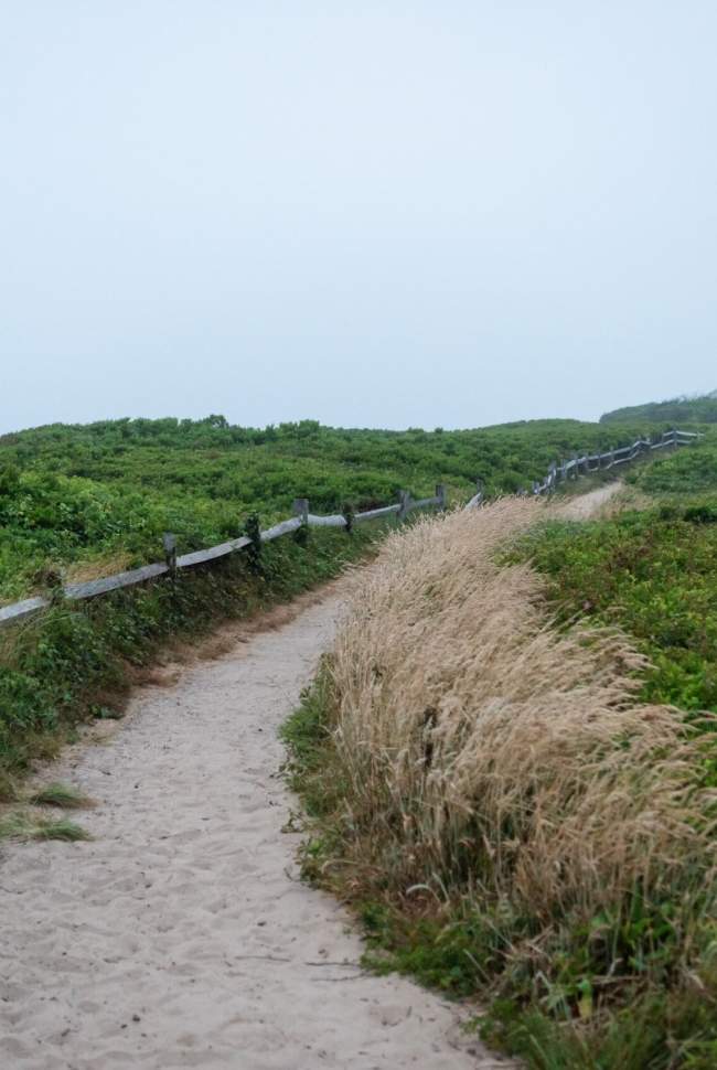 sandy path