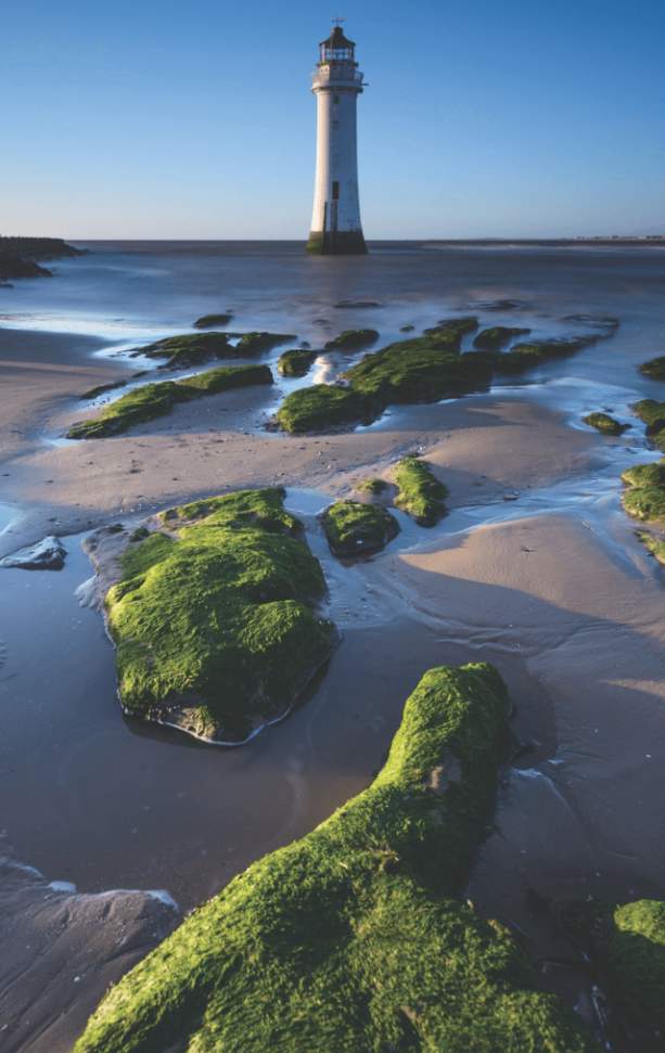 A white lighthouse on a beach with blue skies. sand and green seaweed on the floor.