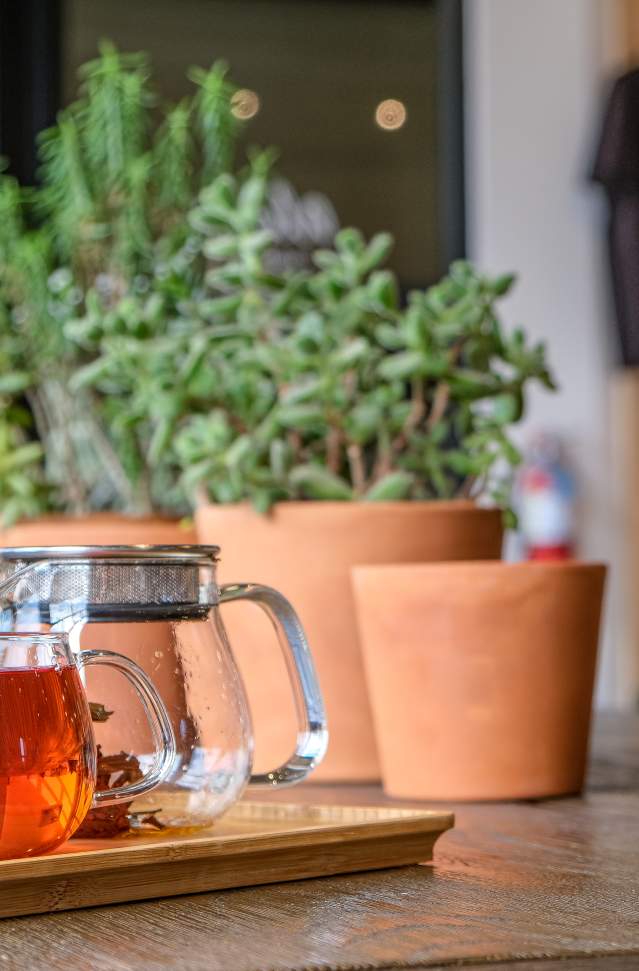 cup of tea with herb plants in background