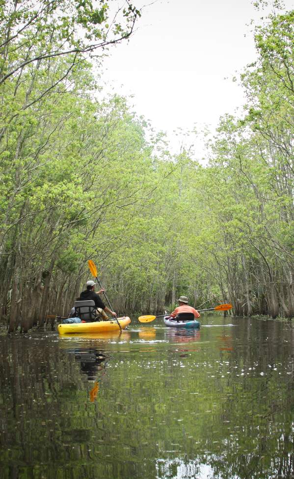 Bayou Vermilion Excursion