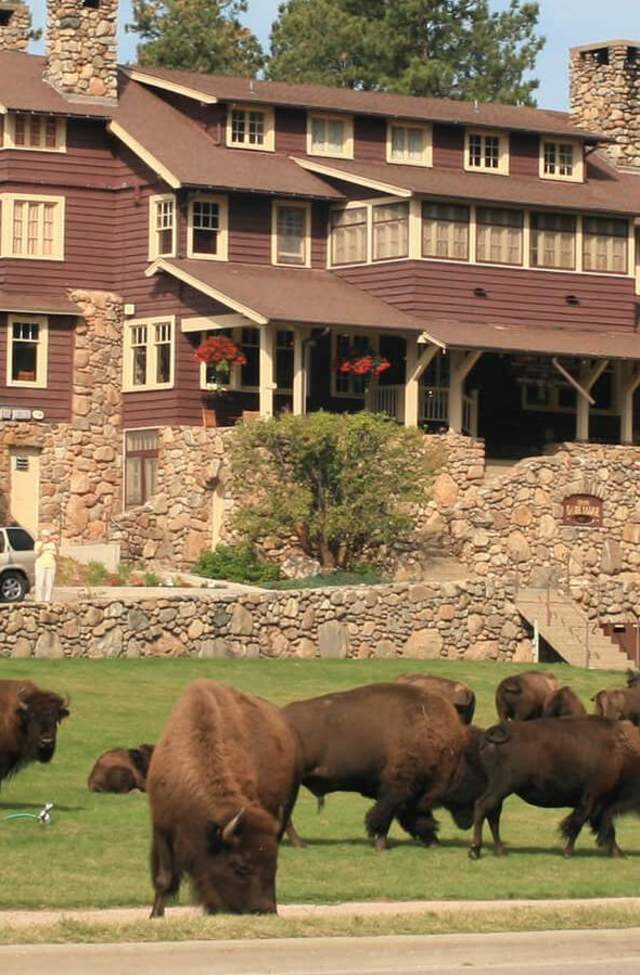 Custer-State-Park Game-Lodge