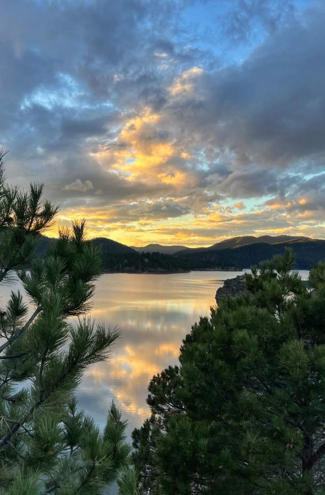 views of sunset at pactola lake through the trees in the black hills of south dakota