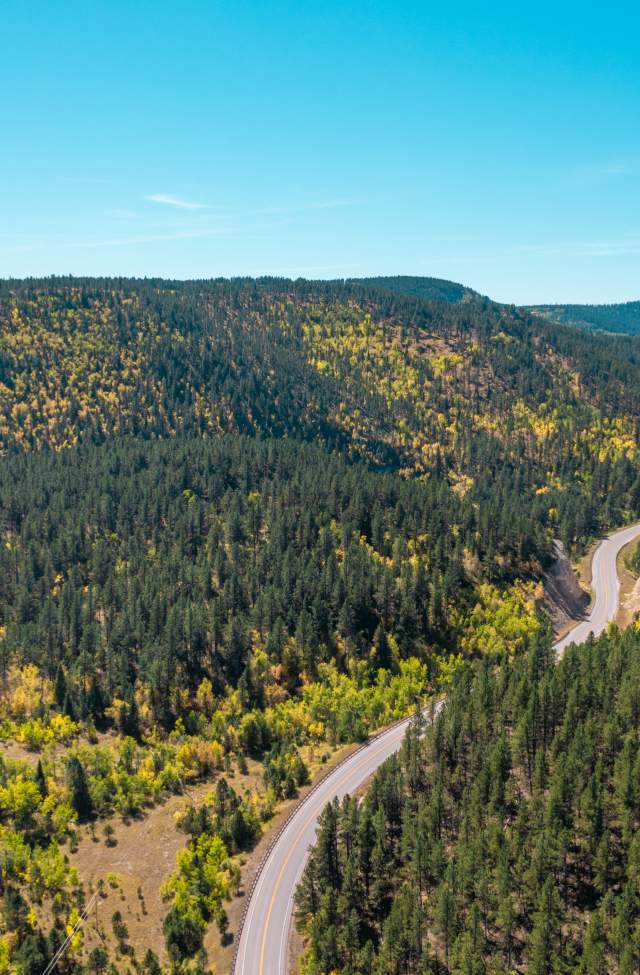 drone view of the road weaving through vanocker canyon with fall colors in the black hills
