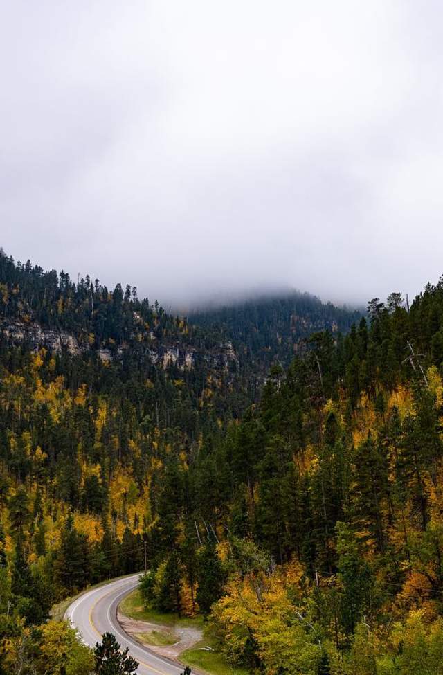 fall colors and fog along the spearfish canyon scenic byway in the black hills of south dakota