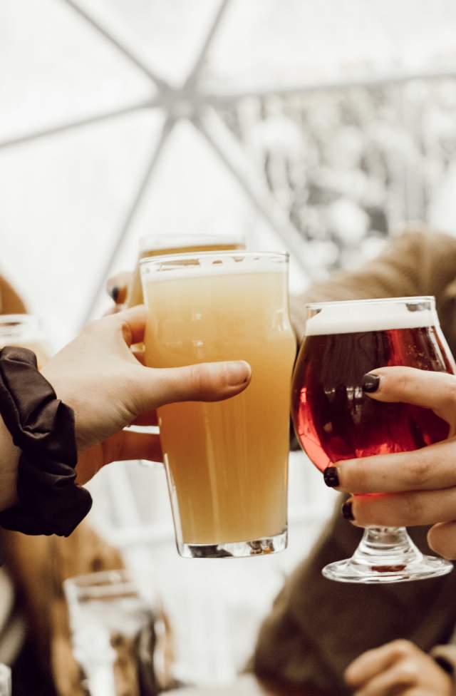 People holding glasses of beer