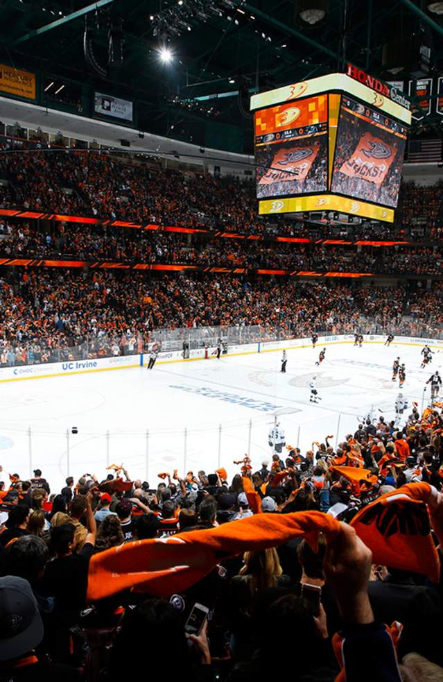 Honda Center Anaheim Ducks Season