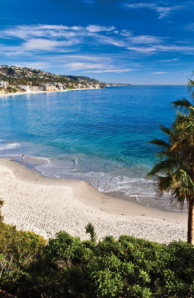 Laguna Beach with calm waves, palm trees, greenery in the foreground, and a distant coastal town under a vibrant blue sky.