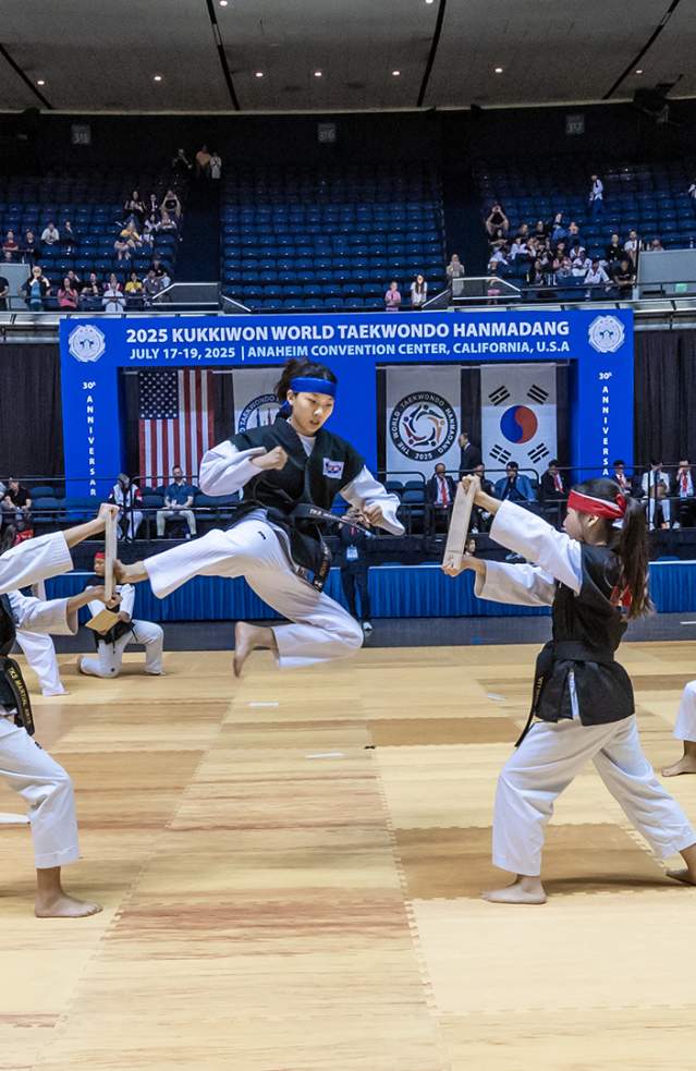 Taekwondo