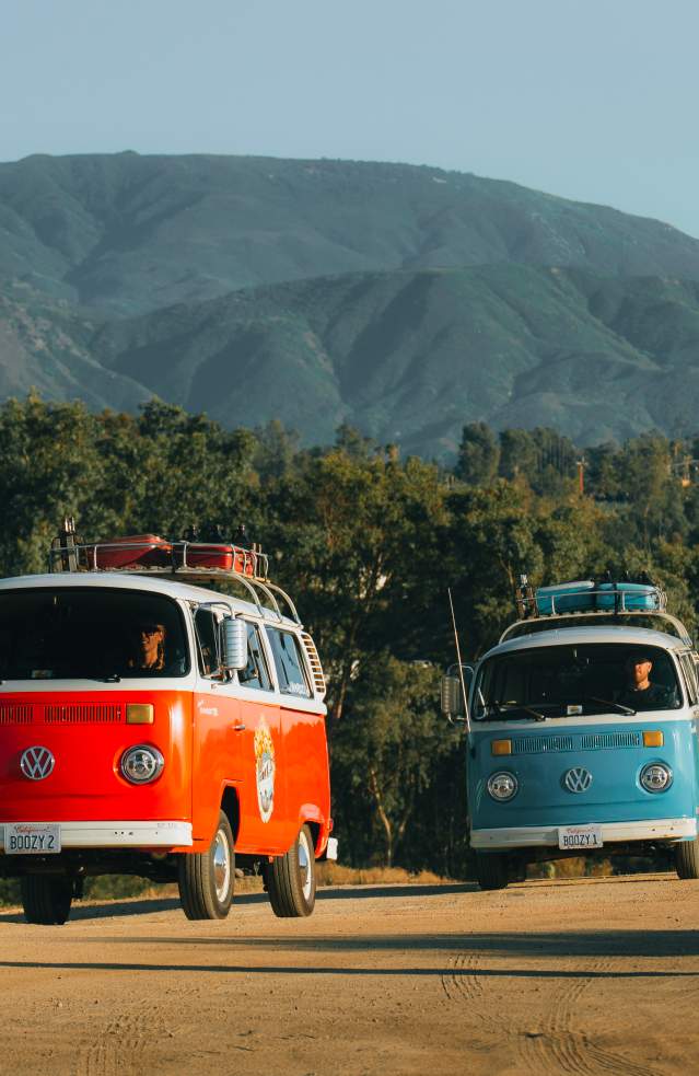 Two VW vans touring the wineries in Temecula