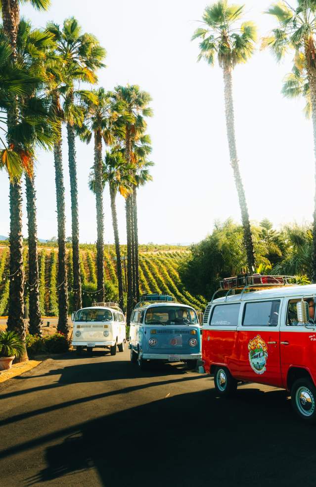 Three VW van tour & Transportation in Temecula