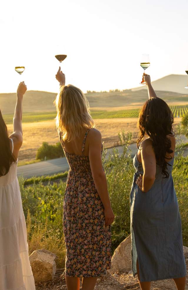 Three women and one man toasting on a hilltop overlooking vineyards at sunset