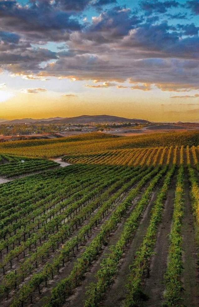 Assessment And Benefits