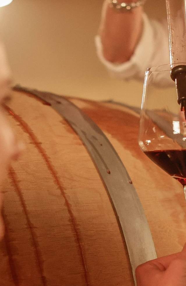 About Temecula Wines