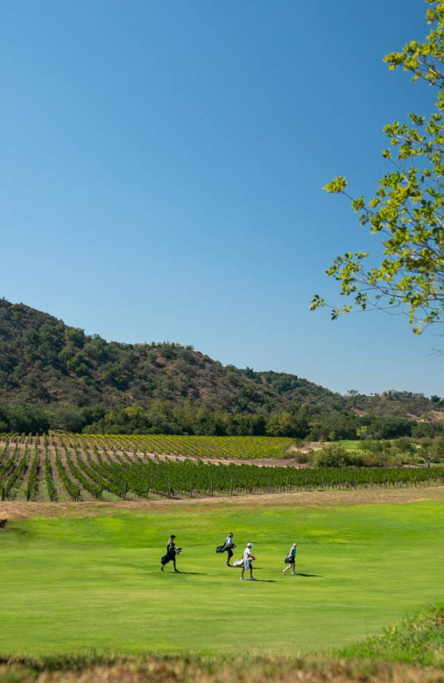 Golf With A View in Temecula Valley