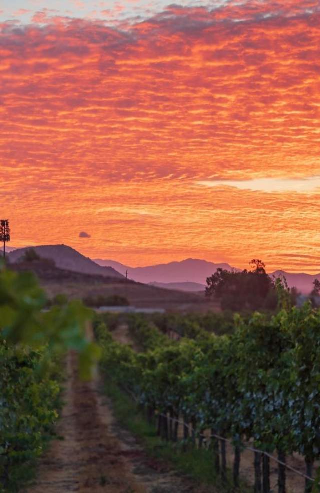 Temecula Valley Press Releases