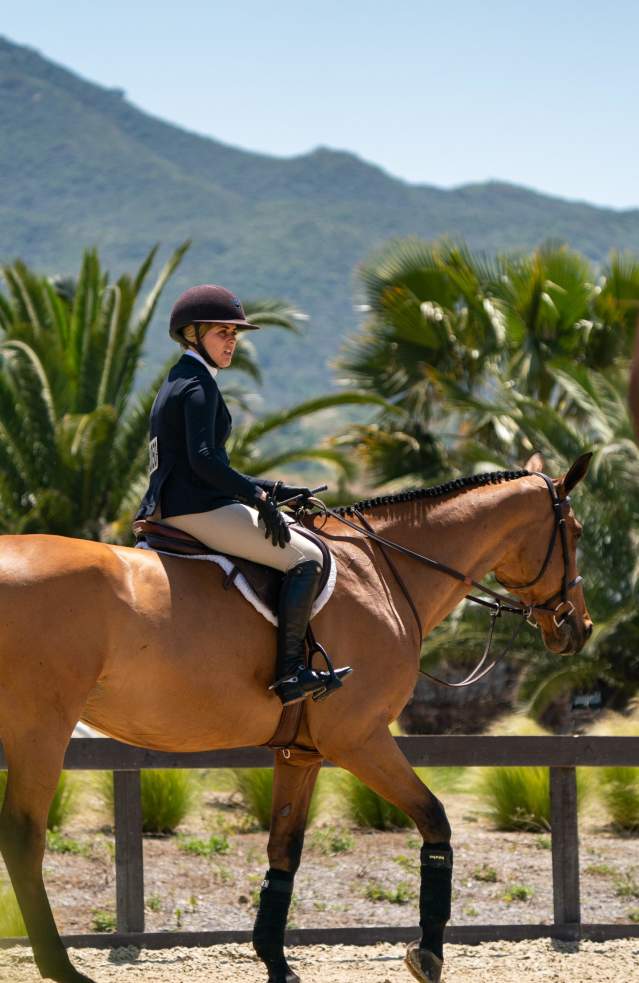 An equestrian riding their horse