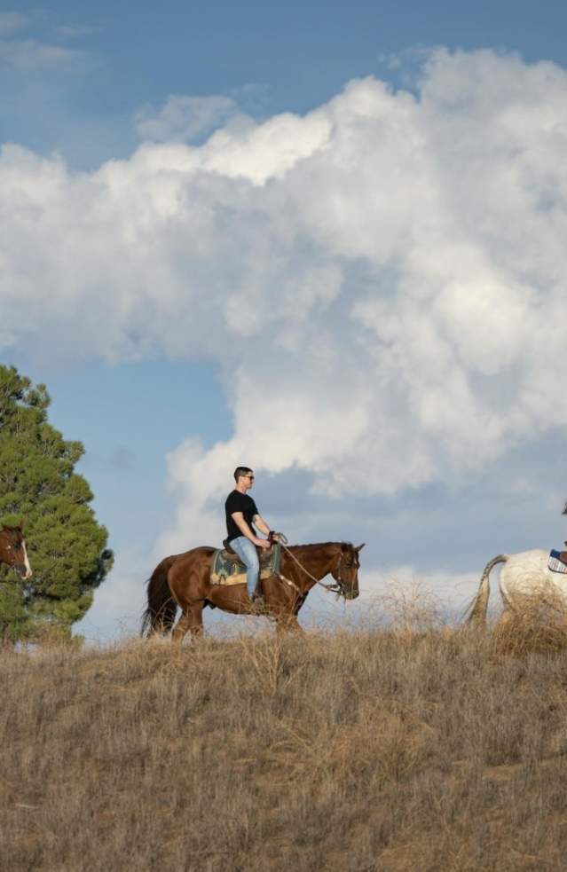 Five people ride horses through a trail during the day