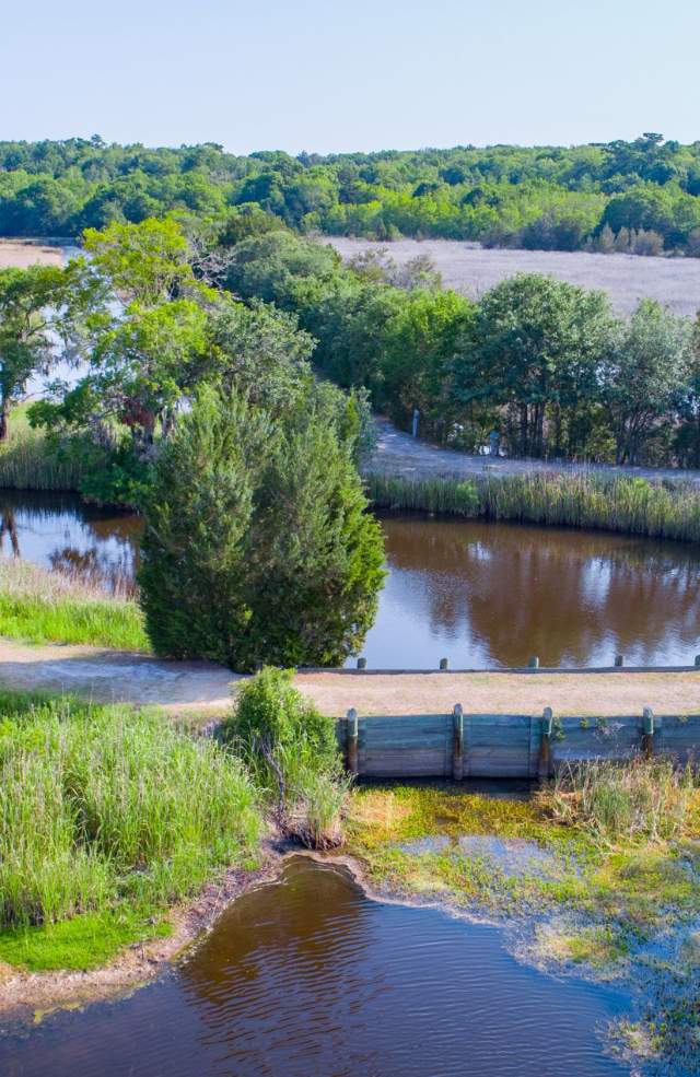Caw Caw Interpretive Center