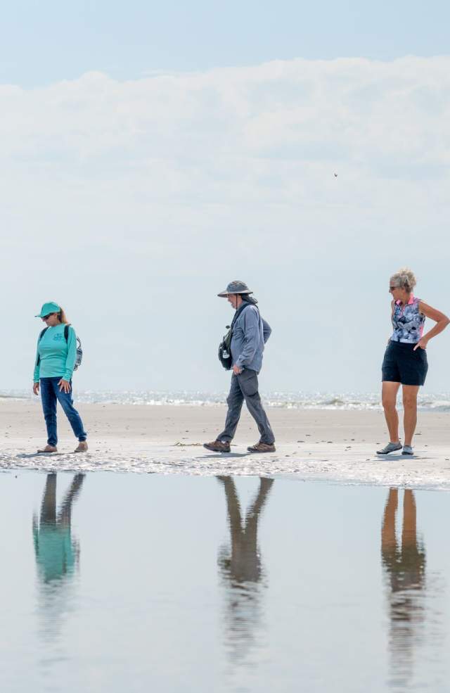 Seashore Exploration