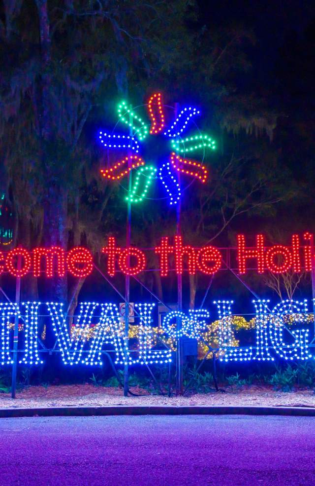 Holiday Festival of Lights