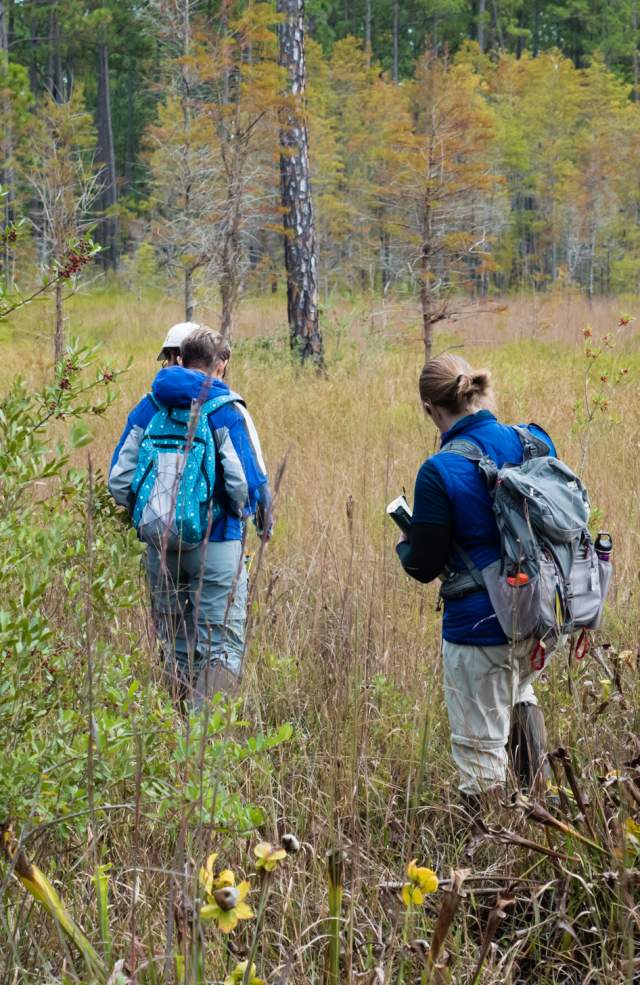 Master Naturalist Program