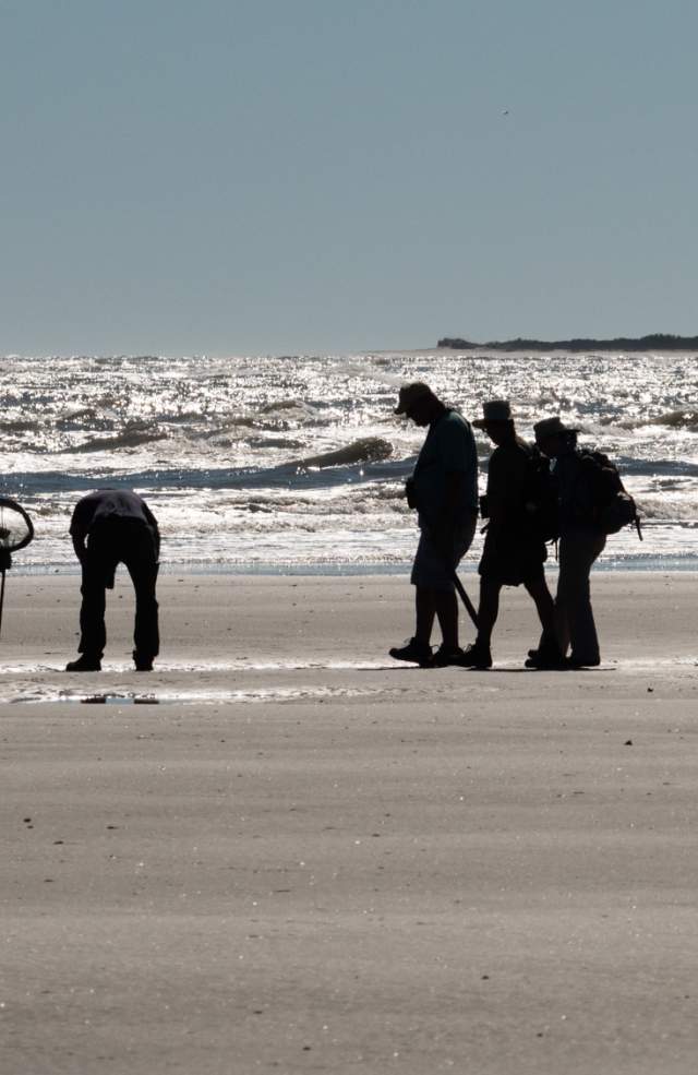 People at a nature program on the beach