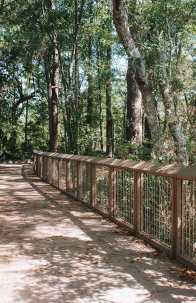 Nature Stewardship Fund