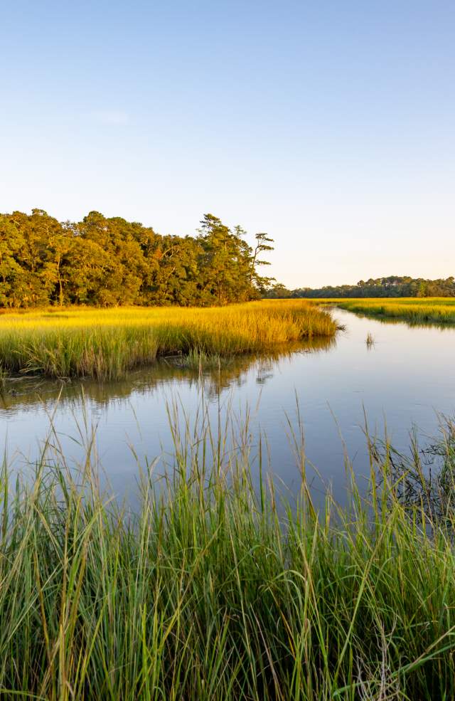 River passing fields