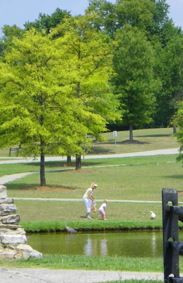 Blount Cultural Park