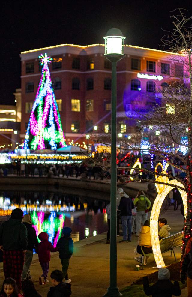 Tree Lighting