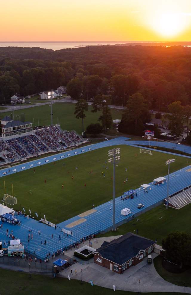 Lionsbridge FC Aerial View