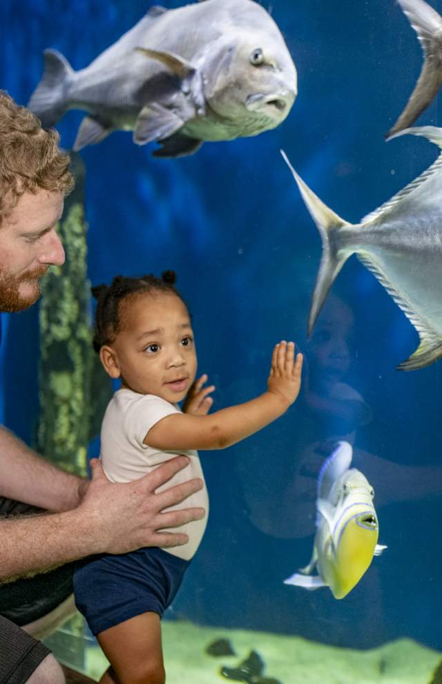 VA Living Museum
