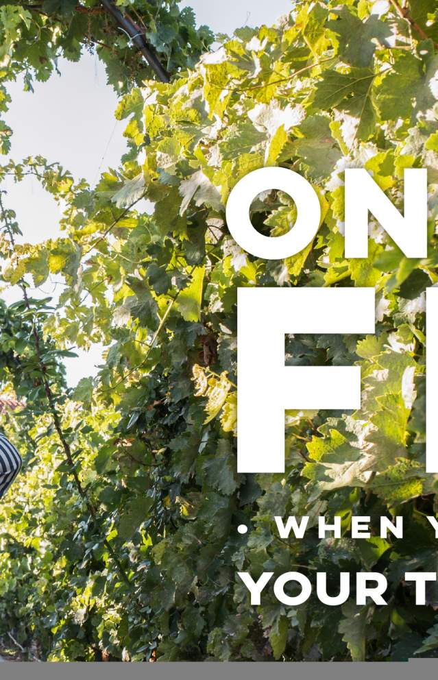 Third Night Free Sonoma Valley 2