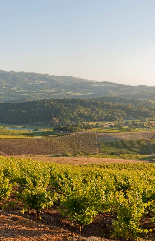 Kunde Winery in Kenwood Sonoma Valley
