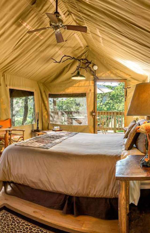 Luxury camping in a safari tent at Safari West in Sonoma Valley