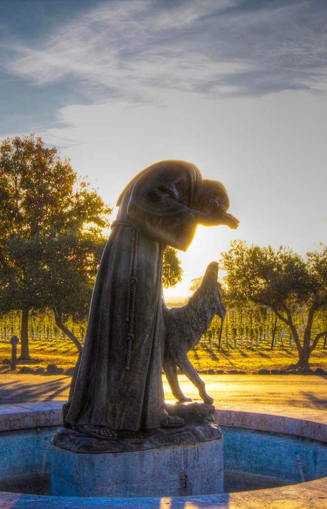A statue in the entrance to Viansa Sonoma Winery with grapevines in the back with the sun coming through