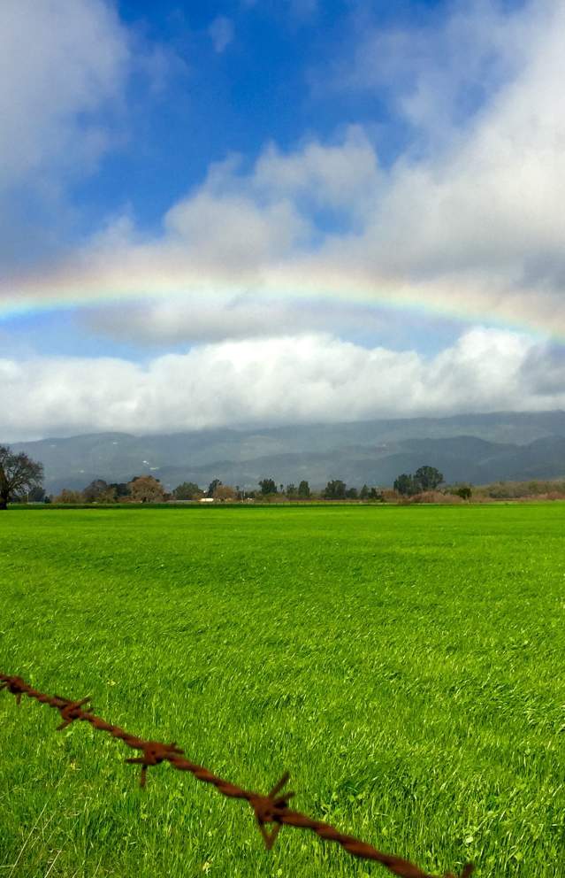 Winter in Sonoma Valley