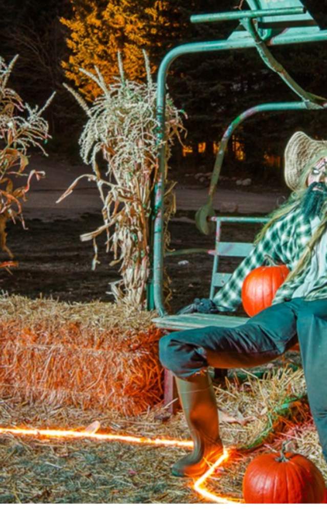 8 Fun Fall Break Activities in Utah County: Festivals & Events