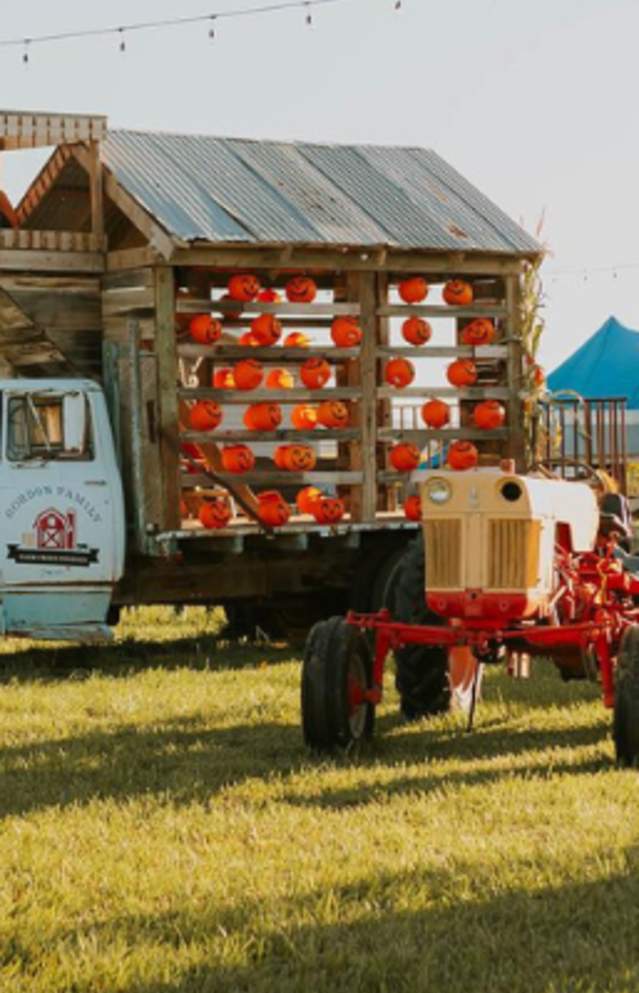 101 Things to do in Utah Valley for Fall Break