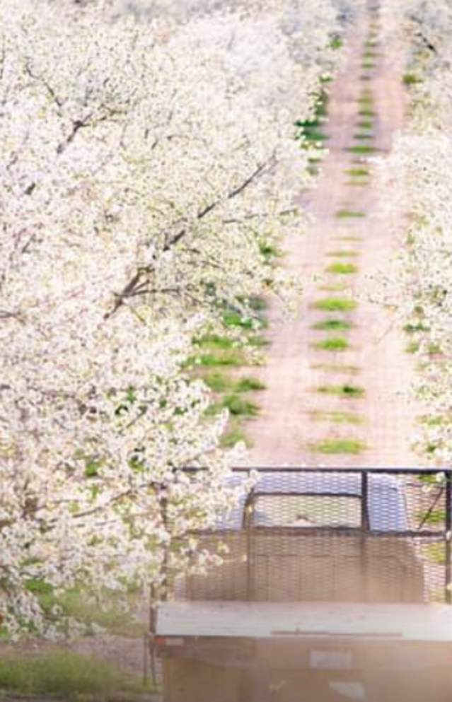 The Epic Utah Valley Spring Bucket List | 12 Things to Do