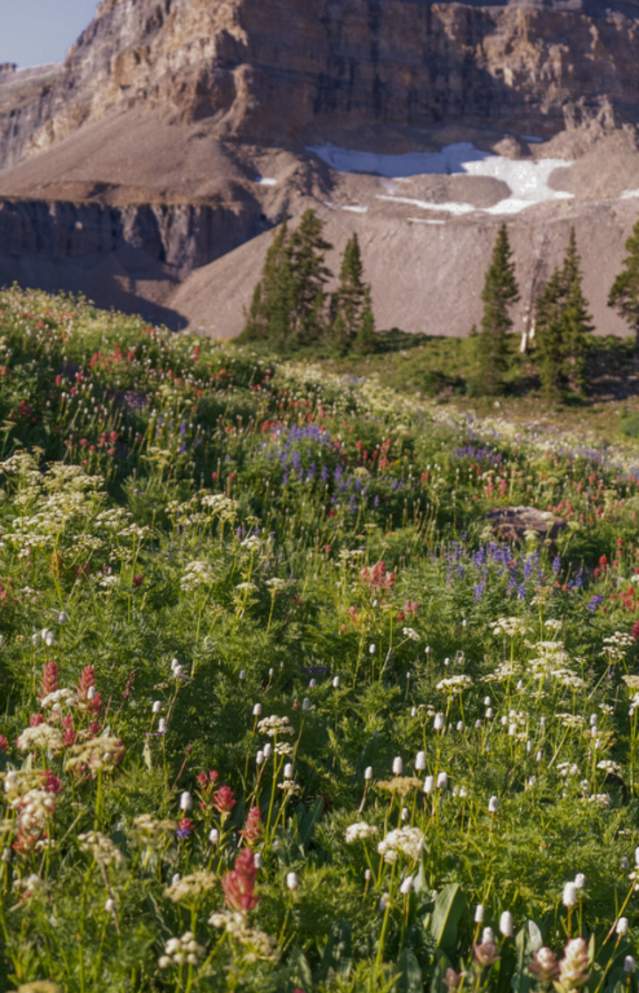 7 Most Beautiful Summer Spots in Utah County
