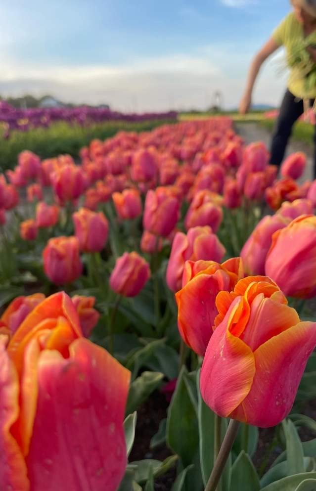 10 Spring Things To Do in Utah Valley Under $10