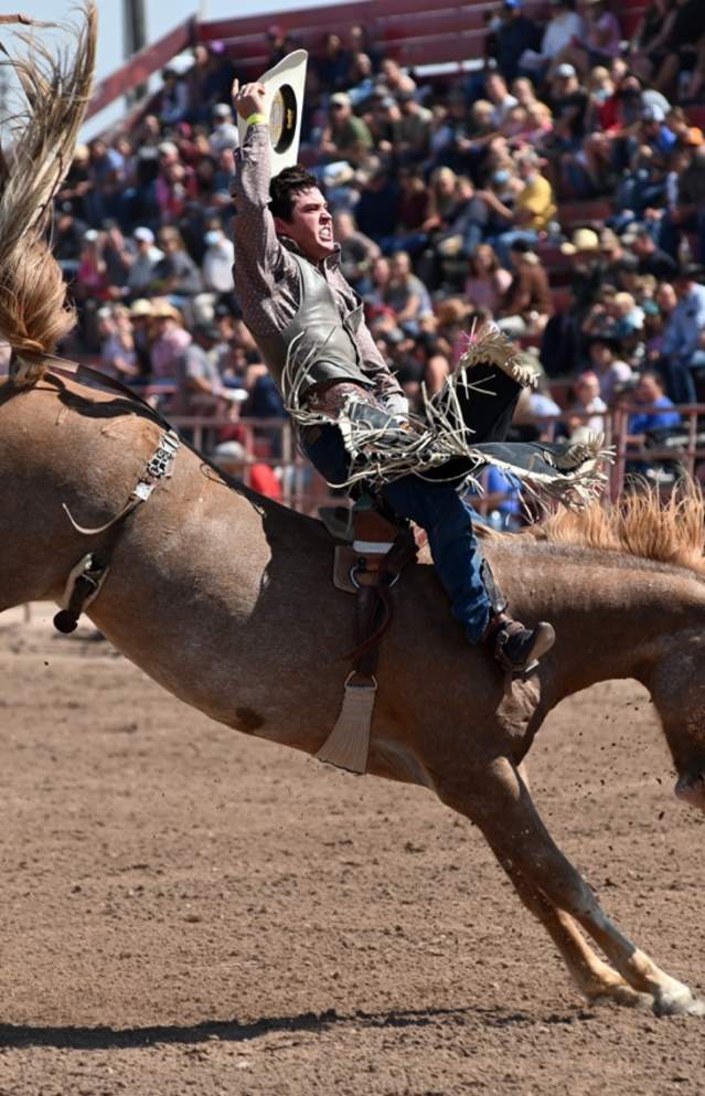 6 Top Rodeos in Utah: Spanish Fork Rodeo & More