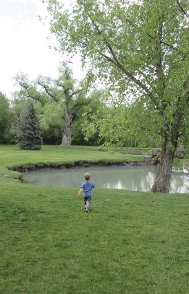 Picnic Places with Something To Do After You Eat