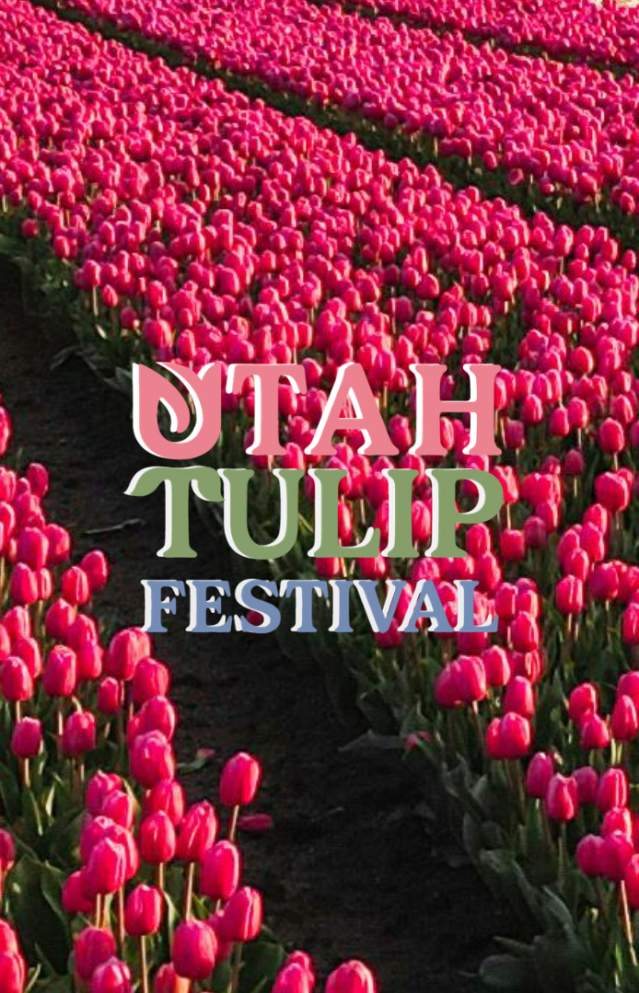 Utah Tulip Festival At Leland Legacy Farm