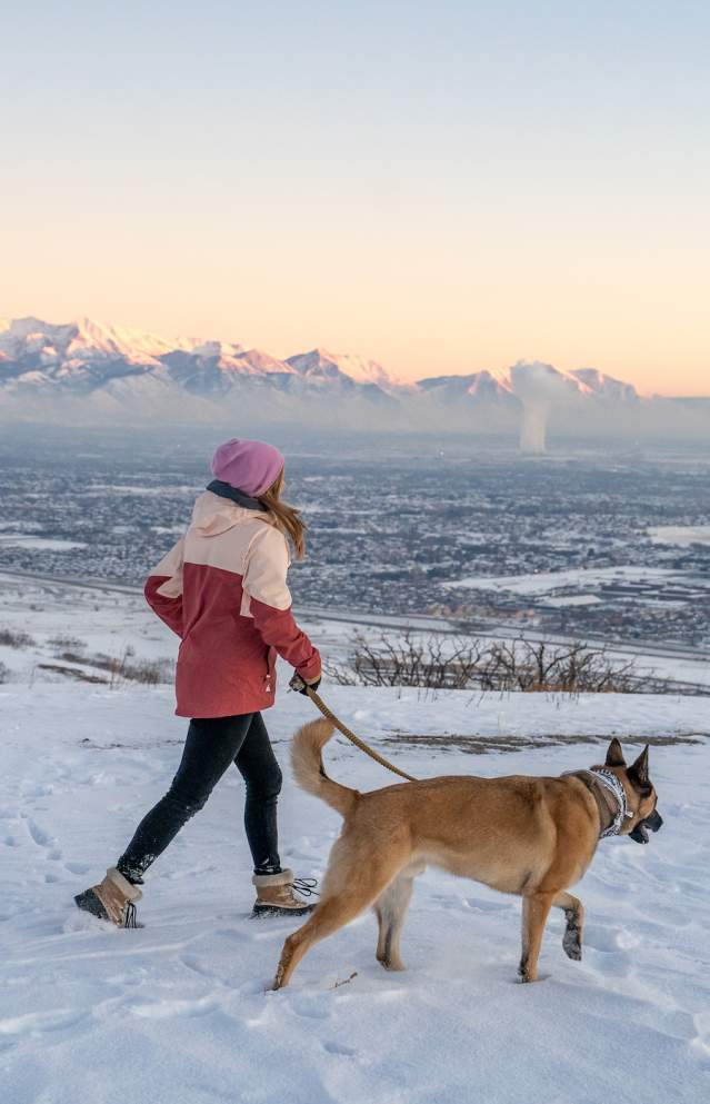 50 Dog-Friendly Hikes in Utah Valley