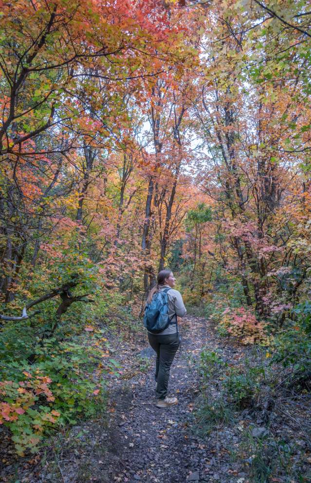 13 Fall Hikes near Provo, Utah