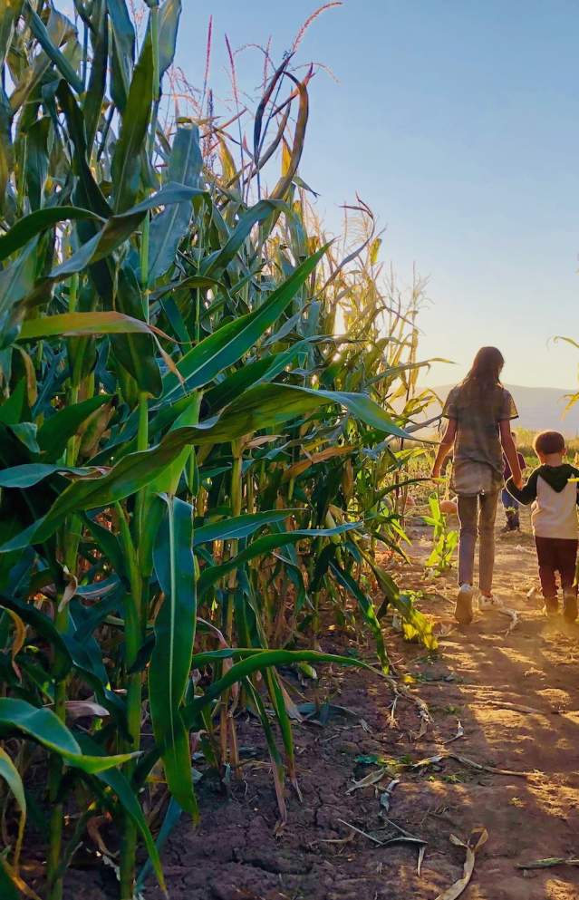 One of Utah's Top Corn Mazes | Glen Ray’s