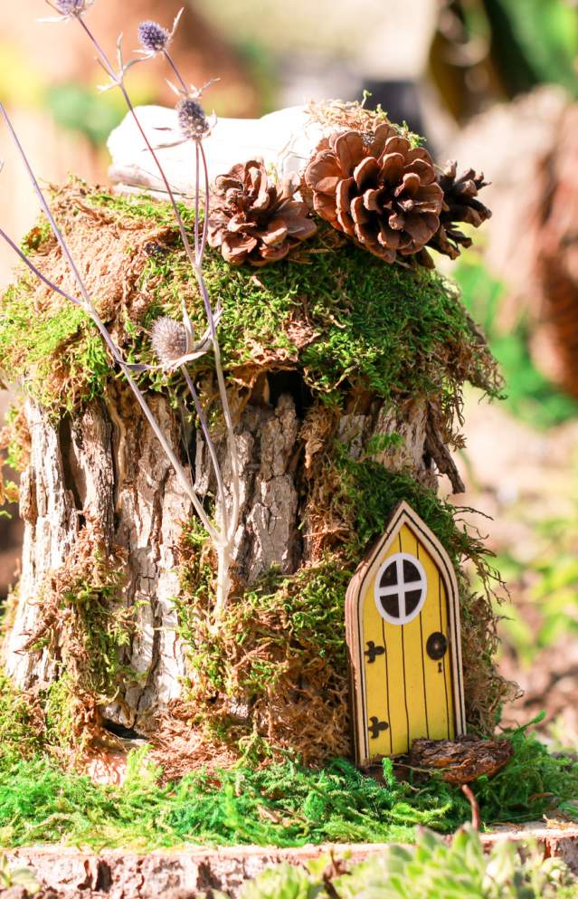 Find Family Fun for Every Age at Imaginaria | 4 Activities