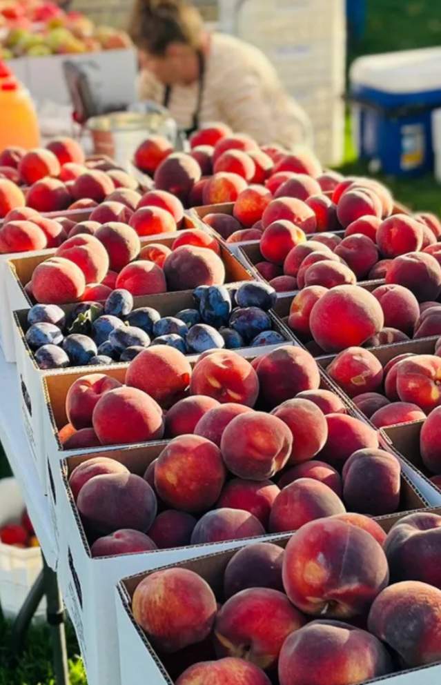 Top 9 Farmers Markets in Provo and Utah County